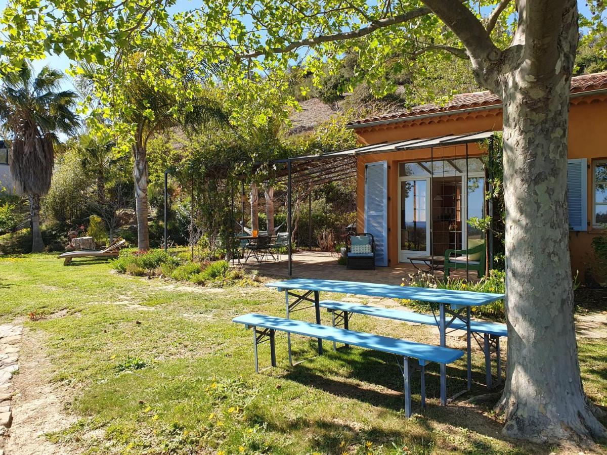 House With Garden And Sea View Villa La Londe-les-Maures Buitenkant foto