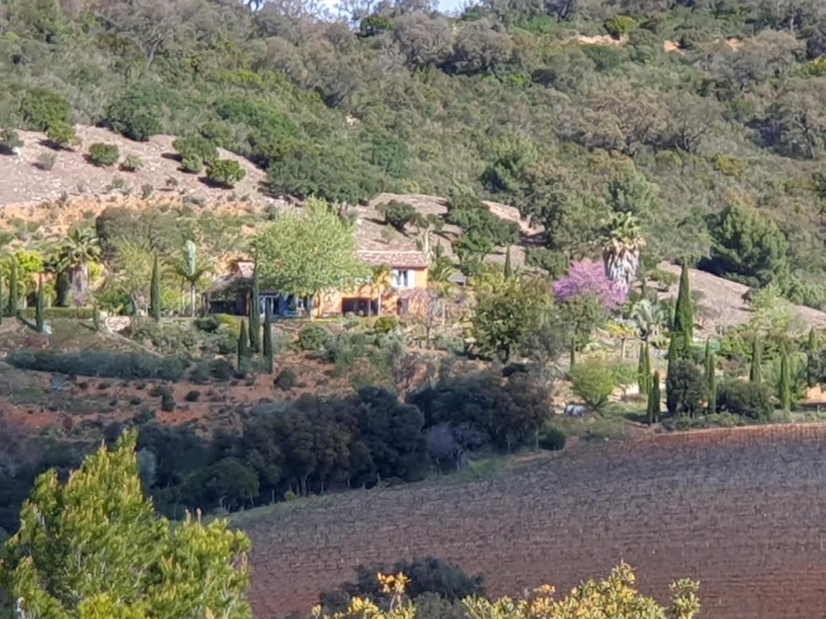House With Garden And Sea View Villa La Londe-les-Maures Buitenkant foto