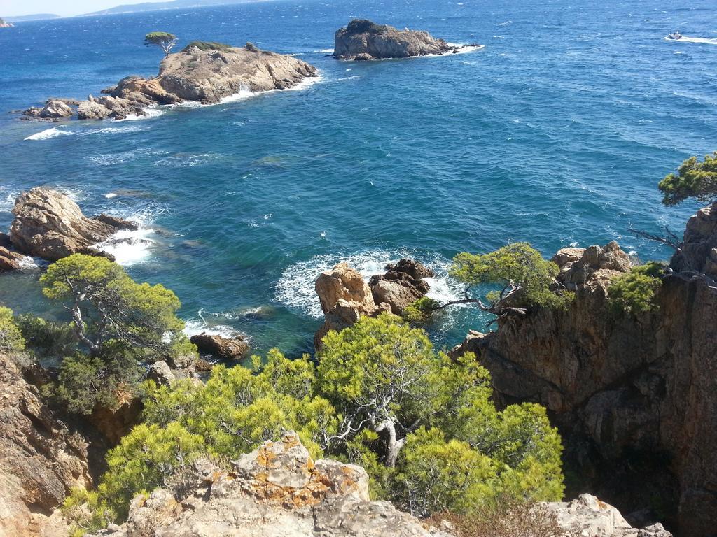 House With Garden And Sea View Villa La Londe-les-Maures Buitenkant foto