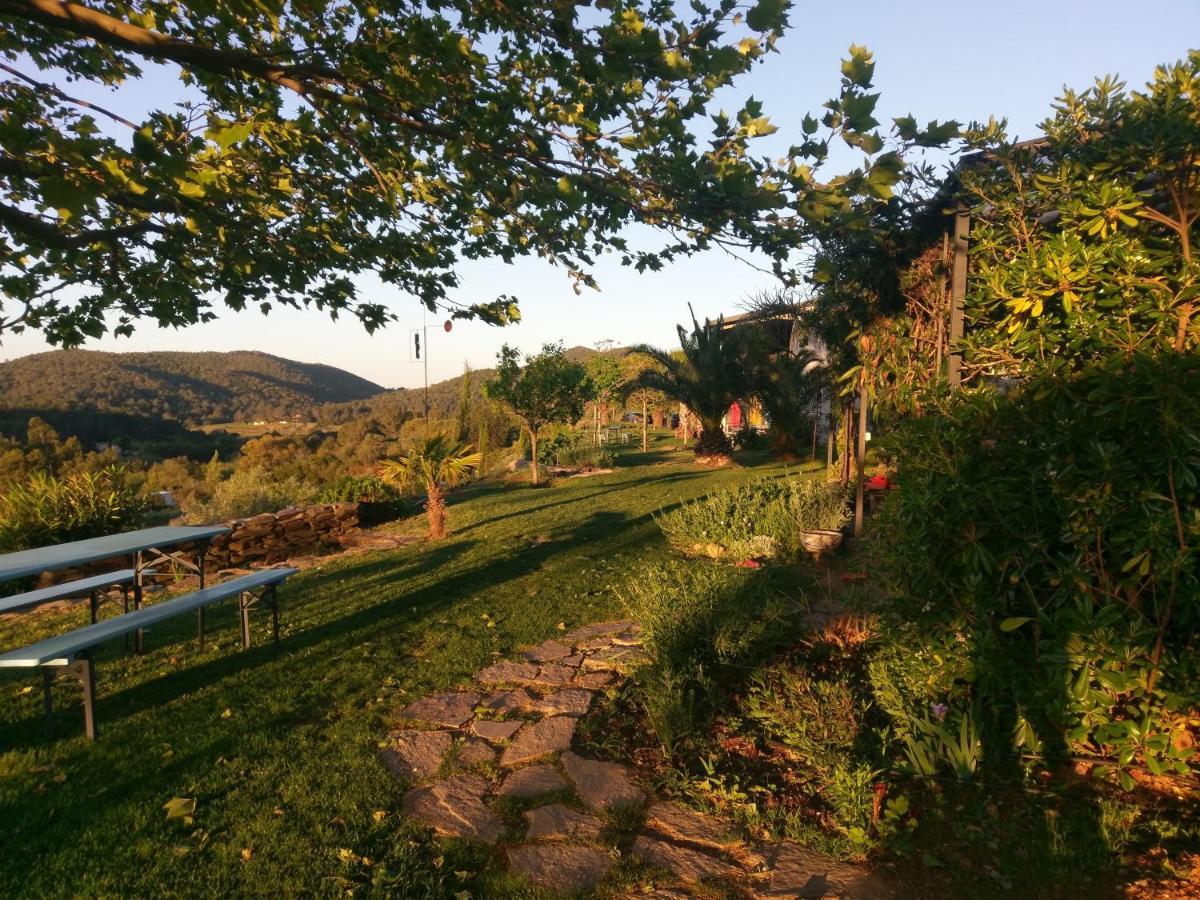 House With Garden And Sea View Villa La Londe-les-Maures Buitenkant foto